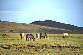 Bernhard Saalfeld - Kleifarvatn